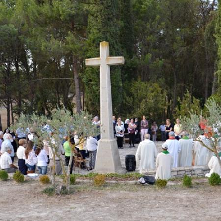 Ver imagen más grande