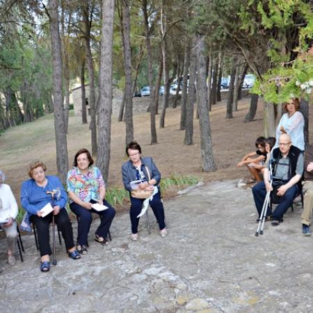 Ver imagen más grande