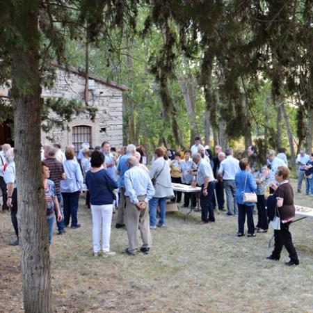 Ver imagen más grande